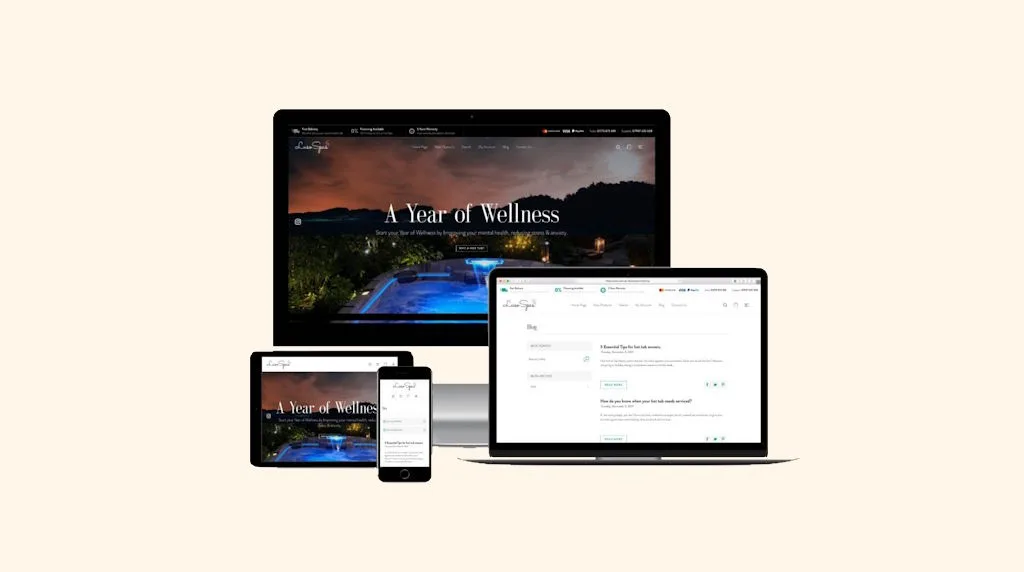 Bellosoft case study — Luso Spas, Retail